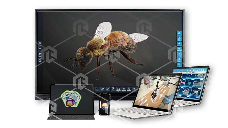 item_11495