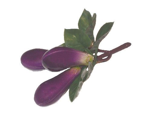 item_12164