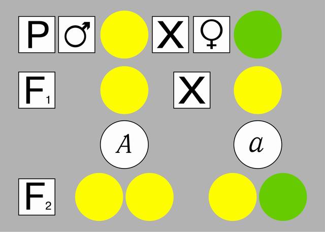 item_13496