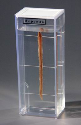 item_13622