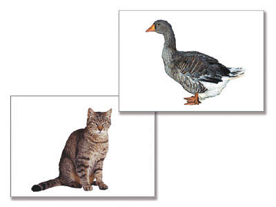 item_14912