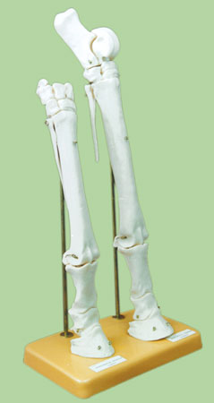 item_13555