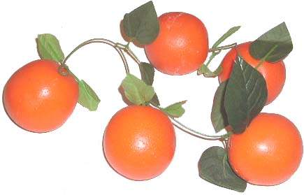 item_12165