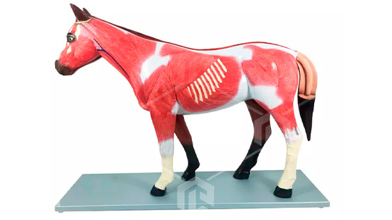 item_11480