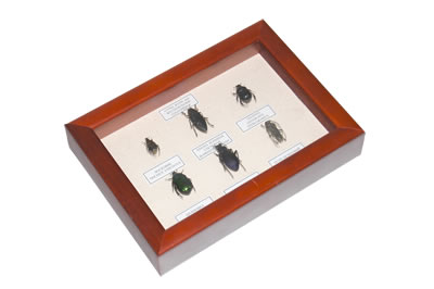 item_13407